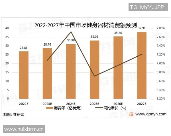 户外健身器材国内市场分析与发展前景 户外健身器材国内市场分析与发展前景