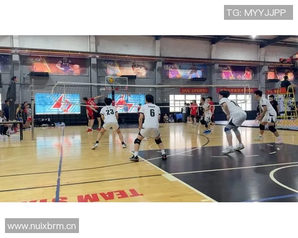 杭州排球队状态对比深度解析及未来发展趋势探讨 杭州排球队状态对比深度解析及未来发展趋势探讨