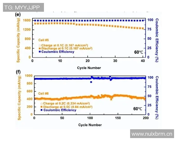 网球运动的发展历程与技术革新对全球体育文化的深远影响 网球运动的发展历程与技术革新对全球体育文化的深远影响